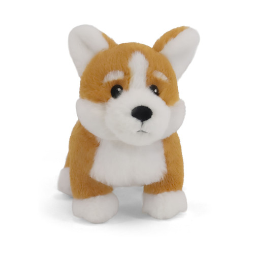 A front-facing plush Corgi dog toy with tan and white fur, perky ears, dark eyes, and a black nose, standing on a white background.