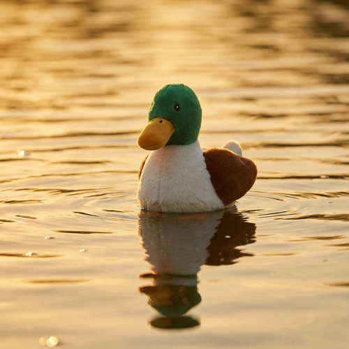 Gosh! Mallard Softie