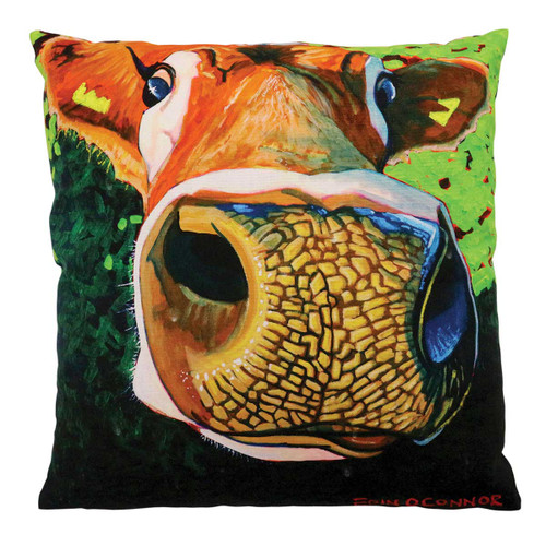 Eoin O Connor Reach For The Stars 45cm Cushion