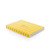 Bee Set of 6 Placemats