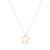 TC STAR CUT OUT PENDANT GOLD - NEW 2024