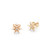 TC COMPASS STAR STUD EARRINGS GOLD - NEW 2024