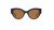 TC Aurora Sunglasses Brown - NEW 2024- FREE Shipping