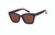 TC Sol Sunglasses Brown - NEW 2024- FREE Shipping