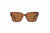 TC Sol Sunglasses Tortoise