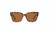 TC Sol Sunglasses Tortoise - NEW 2024- FREE Shipping