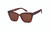 TC Sol Sunglasses Tortoise - NEW 2024- FREE Shipping