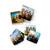 Beyond the Herd Set 6 Coasters