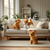 Four plush toys, two dogs, a fox, and a cat, are sitting in a modern living room.