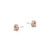 TC Love Knot - Pave Knot Earrings Gold