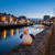 Gosh! Seagull Softie