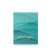 Island Aqua