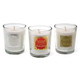 Set of 3 Christmas Candles in White Gift Box