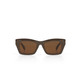 TC Havana Sunglasses Brown