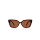 TC Cuba Sunglasses Brown - FREE Shipping