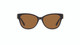 TC Eos Sunglasses Brown - NEW 2024- FREE Shipping