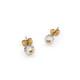 TC Bead - Stud Earrings Emerald
