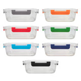 A set of clear lunch boxes with different coloured handles: grey, orange, red, green, blue, and navy. Each box has a lid.