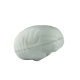 A squishy brain-shaped stress reliever in light grey, featuring realistic detailing and a smooth texture.