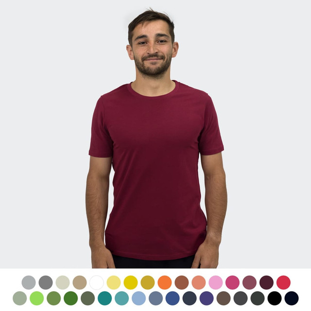 A maroon unisex t-shirt displayed on a male model, featuring a logo and available in various colours below.