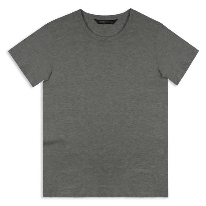 A grey men's t-shirt with a crew neck and short sleeves. It features a logo on the label.
