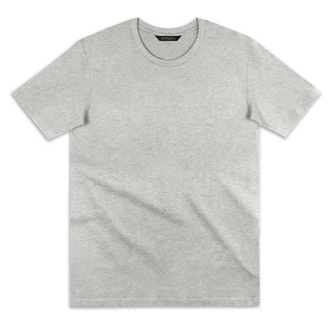 A grey T-shirt with short sleeves and a round neckline, featuring a logo on the label.