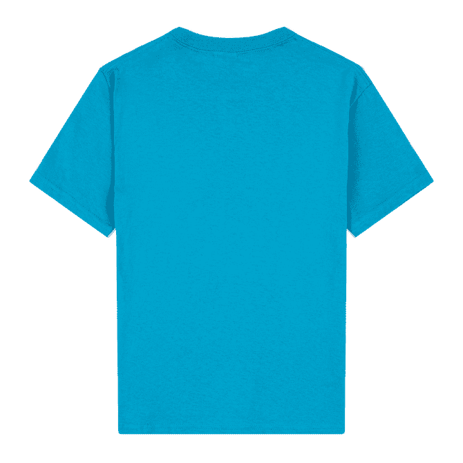 A turquoise youth t-shirt featuring a back view, crafted from heavy cotton, with a simple design and a logo.