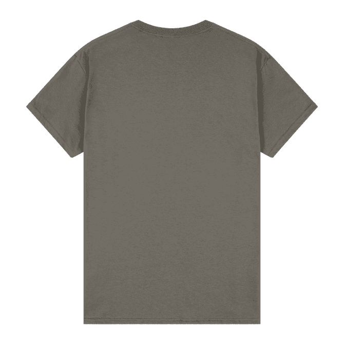 A grey heavy cotton adult t-shirt featuring a plain back design and short sleeves.