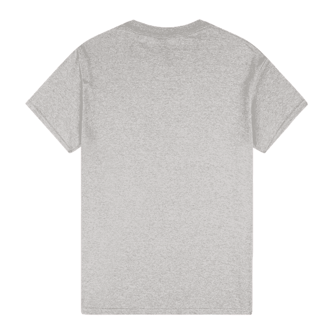 A grey adult t-shirt with a plain back, featuring a logo or branding on the label.