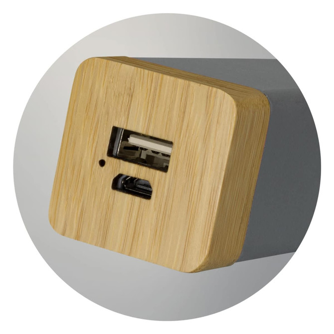 A power bank with a grey body and a bamboo accent, features USB and micro USB ports. Includes a logo.