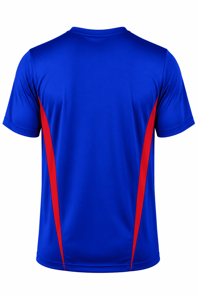 A blue t-shirt with red side panels and short sleeves. It features a logo on the back.