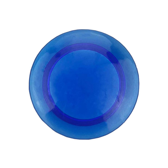 A round, blue plastic button magnet with a slightly darker blue ring around the edge. It features a logo.