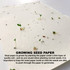 A sheet of seed paper with small green sprouts emerging, featuring a textured white background and tiny seeds.