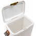 A white cooler with a gold latch, featuring a sleek design and an open lid, showcasing its interior.