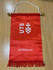 Pennants Polyester