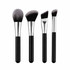 Pro Travel Brush Set