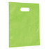 A large green promotional gift bag with a handle and a smooth surface, featuring a logo.