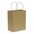 A medium brown paper carry bag with two handles, featuring a plain design and no visible logos.