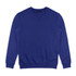 A unisex classic sweatshirt in a vibrant royal blue, featuring long sleeves and a crew neckline. It has a logo detail.