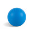 A bright blue ball with a smooth surface, featuring a logo on one side, set against a light background.
