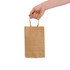 A small brown paper bag with gold handles is being held by a hand.