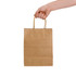 A hand holds a medium-sized brown paper bag with twisted paper handles, featuring a plain design.