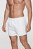 White rugby men's shorts with an elastic waistband and a smooth fabric finish. Features a logo on the side.