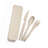 Eco-friendly cutlery set in beige, including a knife, spoon, fork, and a matching storage case.