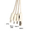 A beige bamboo charging cable with four connectors: 8 Pin, Micro USB, Type C, and USB A. The cable features a logo.