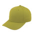 A green five-panel cap with a curved brim and ventilation holes, featuring a logo on the front.