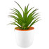 Mini Desk Plant Pot