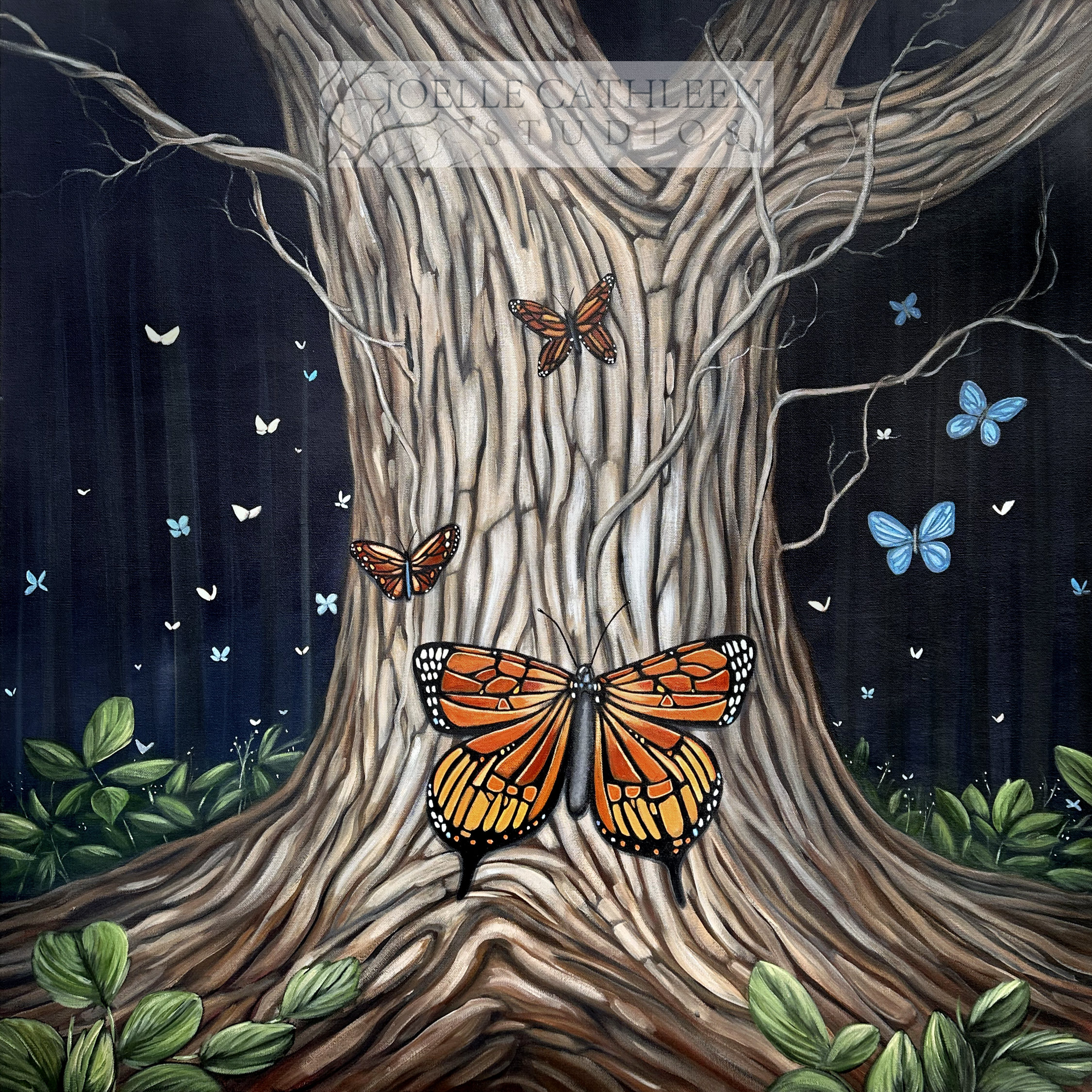 Butterfly Dream by Joelle Cathleen