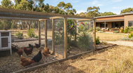 Snake Season 2026: How Snake Proof Mesh Protects Australian Homes, Chicken Coops and Aviaries This Summer