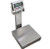Optima Stainless Steel Washdown Bench Scale 18"x24"x5.5"(H) 500lbs
